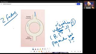 Tachyarrhythmias 1 AVNRT l AVRT kasr alainy شرح [upl. by Anerahs350]