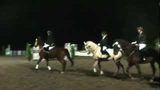 Erstes E Springen 2 Platz ♥ HD Flutlichtspringen [upl. by Neemsay]