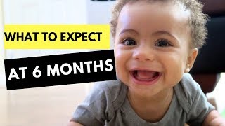 6 Month Developmental Milestones  Baby Developmental Milestones [upl. by Joela]