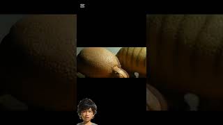 Edukasi Animasi Glyptodon jurassicworld dinosaur movie alurceritafilm [upl. by Jereld]