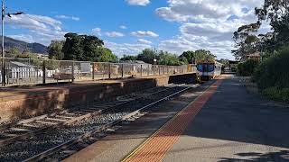 Up XPT at Tallarook 551pm 17 November 2024 with down BG Sprinter and down SG SSR grain in the rear [upl. by Tersina]