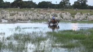 Filme  PANTANAL [upl. by Magulac141]