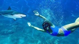 SWiMMiNG WiTH SHARKS LiLEES BiRTHDAY WISH GONE WRONG🦈😱 [upl. by Ainnos]