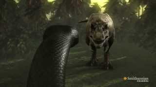 Tyrannosaurus Rex vs Titanoboa  Full Fight Epic Battle HD [upl. by Bobbe]