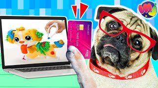 🐶 Mi PERRO se compra JUGUETES por INTERNET 🤓 👀 [upl. by Montagna]