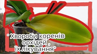 Хвороби коренів орхідей Їх лікування [upl. by Slin]