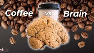 Do You Know What Coffee Does to Your Brain  Institute of Human Anatomy [upl. by Barnum]