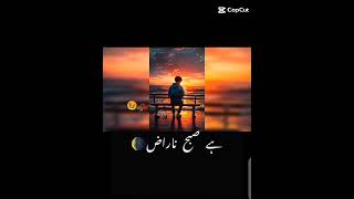 Dhoondta Tha Ek Pal Mein Dil Jise Sau Dafa 💔 😔 viralshort yautubeshort songstatus [upl. by Arihppas]