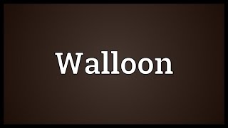 Walloon Meaning [upl. by Adnilemreh]