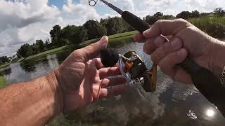 Qualia N30 Spinning Reel Review [upl. by Rusert]