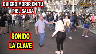 QUIERO MORIR EN TU PIEL SALSA SONIDO LA CLAVE [upl. by Chivers658]