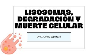 Semana 6  Lisosomas degradación y muerte celular  Biología  03092023 [upl. by Lyrret]