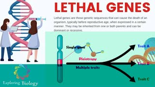 Lethal genes amp Pleiotropy Genes in Tamil [upl. by Sollows322]