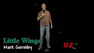 Little Wings by Mark Gormley [upl. by Bazar509]