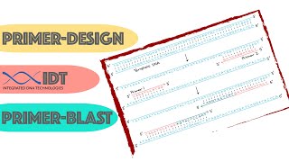 Primer Design using IDT and PrimerBLAST  GenBank  Bioinformatics [upl. by Nnyleitak]