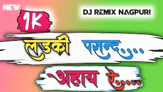 Nagpuri DJ Remix  Best DJ Nagpuri Songs 2024 [upl. by Winthorpe]