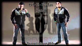 Dil  E  Nadan ft Raymond Ramnarine  Ruth Na Jaana 2011 Latest [upl. by Nelyaw]