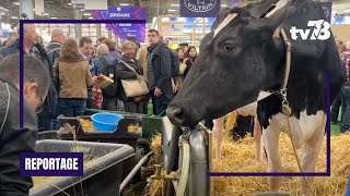 Salon de l’agriculture 2024  l’élevage de vaches et de Mérinos dans les Yvelines [upl. by Doownyl]