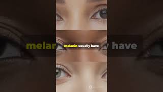 Why Do We Have Different Eye Colors facts shorts viralvideo science eyescolor melanin [upl. by Cattier]