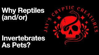 Why Reptiles andor Invertebrates As Pets [upl. by Eedya]