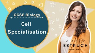 Cell Specilisation GCSE BIOLOGY Learn the structure and function of plant and animal cells [upl. by Nawak]