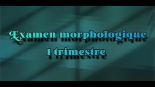 Examen morphologique 1 trimestre  part 2 [upl. by Yee]