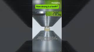 How strong is a tooth really 🦷🔨 dental chemisphere science [upl. by Petronilla833]