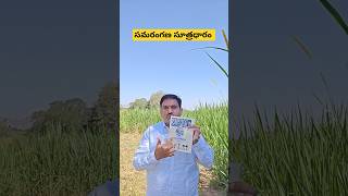 సమరంగణ సూత్రధారం vastubook harivastu telugu devullu com [upl. by Ahsart]