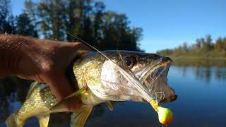 Fishing for Walleye on Pembina River [upl. by Acissehc]