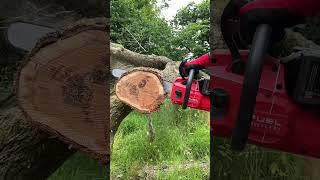 How Powerful is the NEW Milwaukee 20quot Fuel Dual Battery Chainsaw [upl. by Davey]