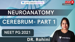 CEREBRUM PART 1  Neuroanatomy  NEET PG 2021  Dr Rohini [upl. by Bron]