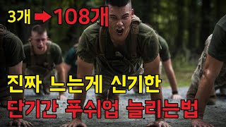 단기간 푸쉬업 개수 늘리는법 최고의 방법 2가지 전 이렇게 108개를 만들었었습니다 [upl. by Nasya]