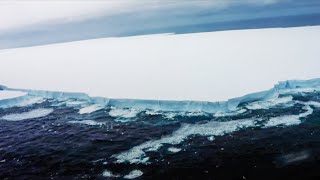 Iceberg más grande del mundo podría estrellarse contra hábitat de pingüinos [upl. by Schreib]