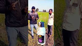 Cropnosys ka Azor agriculture farming dawah viralvideo shorts lahsun [upl. by Nylhsoj261]