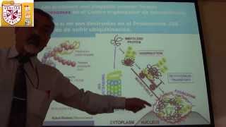 Biología  Citoesqueleto II  H Lezama [upl. by Atinaj]