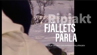 Ripjakt  Fjällets Pärla [upl. by Heilner480]