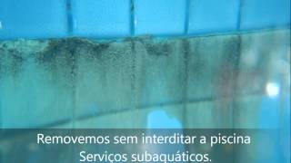 lixiviação eflorescênciamanchas crostaspiscina [upl. by Ahsele]