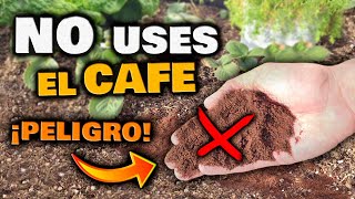 NO USES el CAFE como ABONO CASERO en tus PLANTAS ¡ES PELIGROSO  Fertilizante Casero con Café [upl. by Ahsienyt]