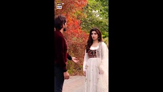 Chupa Lon Dil Mein Yeah Tamana Ijazat Ho Ijazat Ho  ARY Digital Drama [upl. by Ihsakat11]