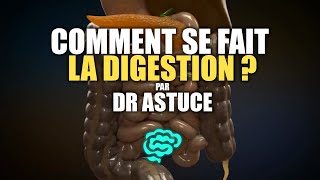 🔴 La Physiologie Digestive Expliquée Très Clairement par Dr Astuce [upl. by Pierpont828]