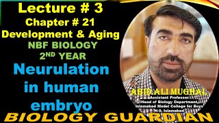 Neurulation in Human Embryo Organogenesis  Lecture 3 Ch21 NBF Biology12  By Abid Ali Mughal [upl. by Fletcher384]