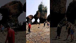 Hopewell Rocks 💙shortsfeed trending nationalpark youtubeshorts fypシ゚viral ytshorts feedshorts [upl. by Ahsasal]