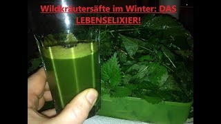 Hochgesunde Wildkräutersäfte im Winter DAS heimische Superfood schlechthin [upl. by Fonda889]