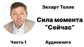 Экхарт Толле Сила Момента Сейчас Часть1 [upl. by Yakcm]