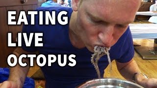 Eating Live Octopus in Korea [upl. by Eatnad376]