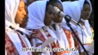 quotስርናይ ካብ ክርዳድ ክፈሊ ቀሪቡዩquot srnay kab kirdad kfeli qeribuyuquot [upl. by Icul]