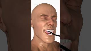 Laryngoscopy anatomy health animation modernmedicine [upl. by Talanta]