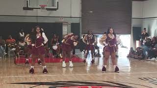 sophisticated sounds amp steppers seniors dignified competition 2024 [upl. by Hairu]