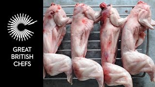 How to butcher a rabbit [upl. by Hertzog]