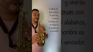 Exáltate oh gran cordero  Saxofón instrumental [upl. by Ecyrb797]